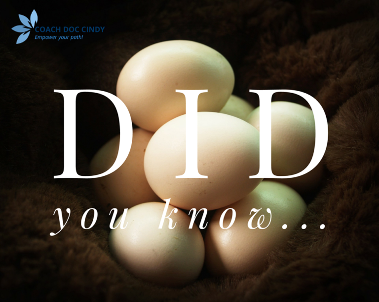 You CAN definitely teach an old dog a new trick! doccindy 1 Eggs